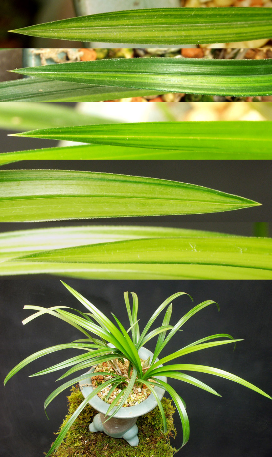 ������ ū������ �� �� �ֽ��ϴ�.